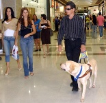 Working Dog in Airport